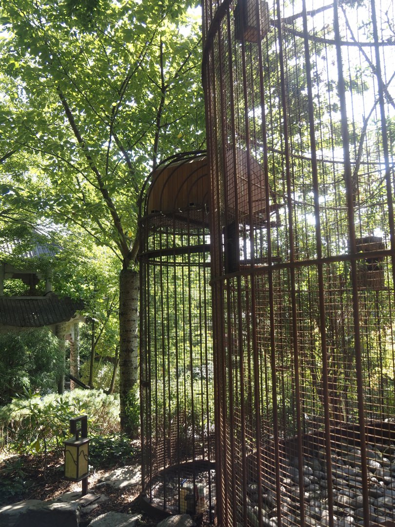 Red-billed Leiothrix aviary - Entrance and small box as only shelter, 2024-09-17