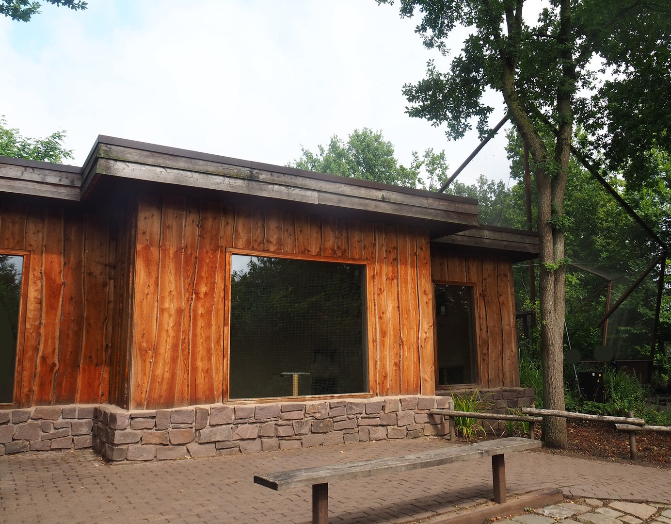 Red-billed quealea, Black-headed weaver and Eurasian hoopoe house, 2022-08-20
