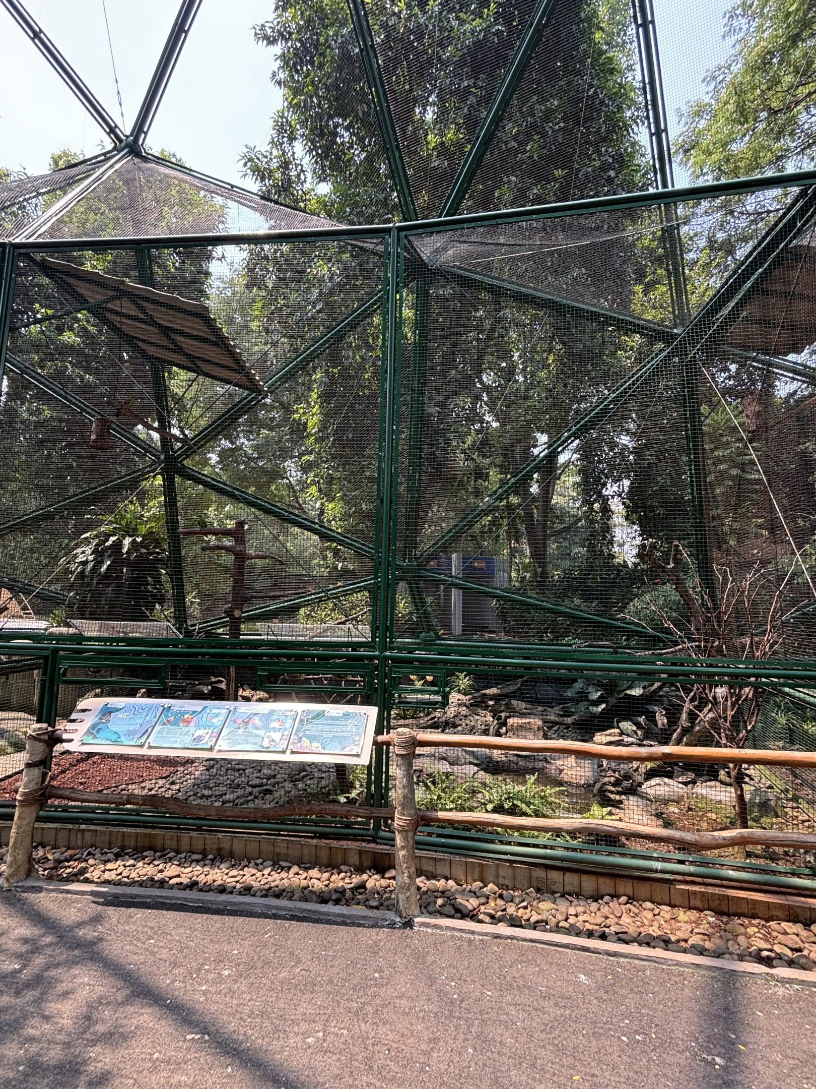 Red Bird of Paradise/Red-winged Parrot Aviary
