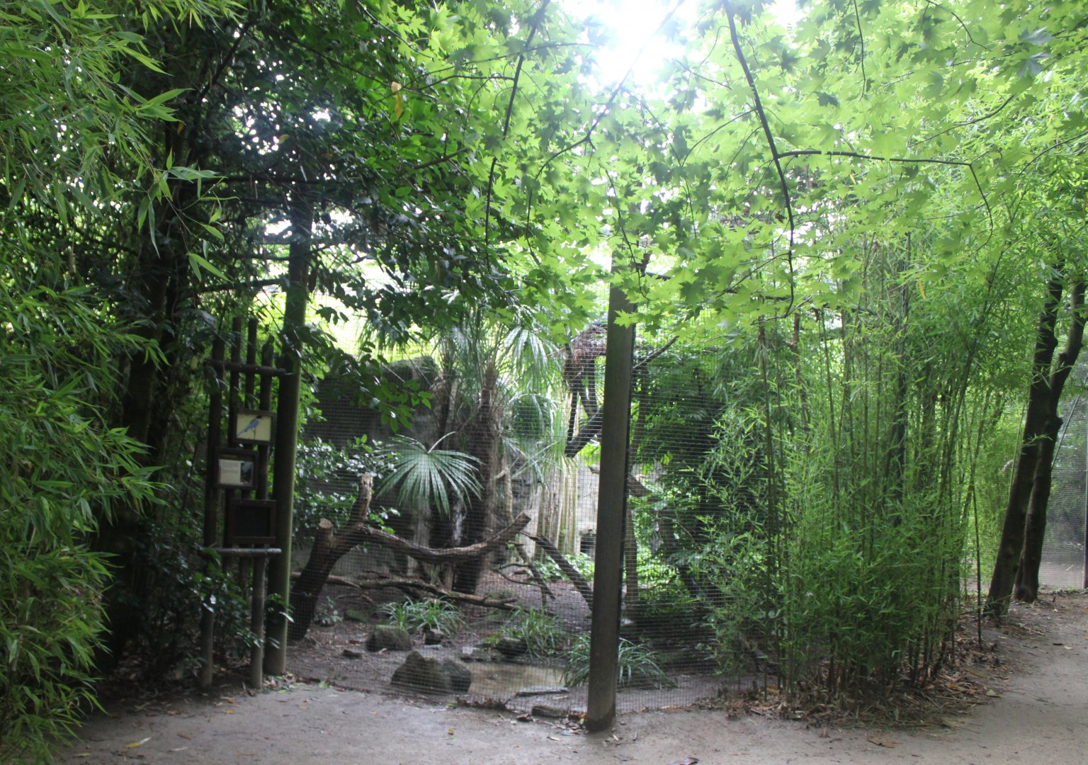 Red-breasted crowned pigeon and azure-winged magpie aviary