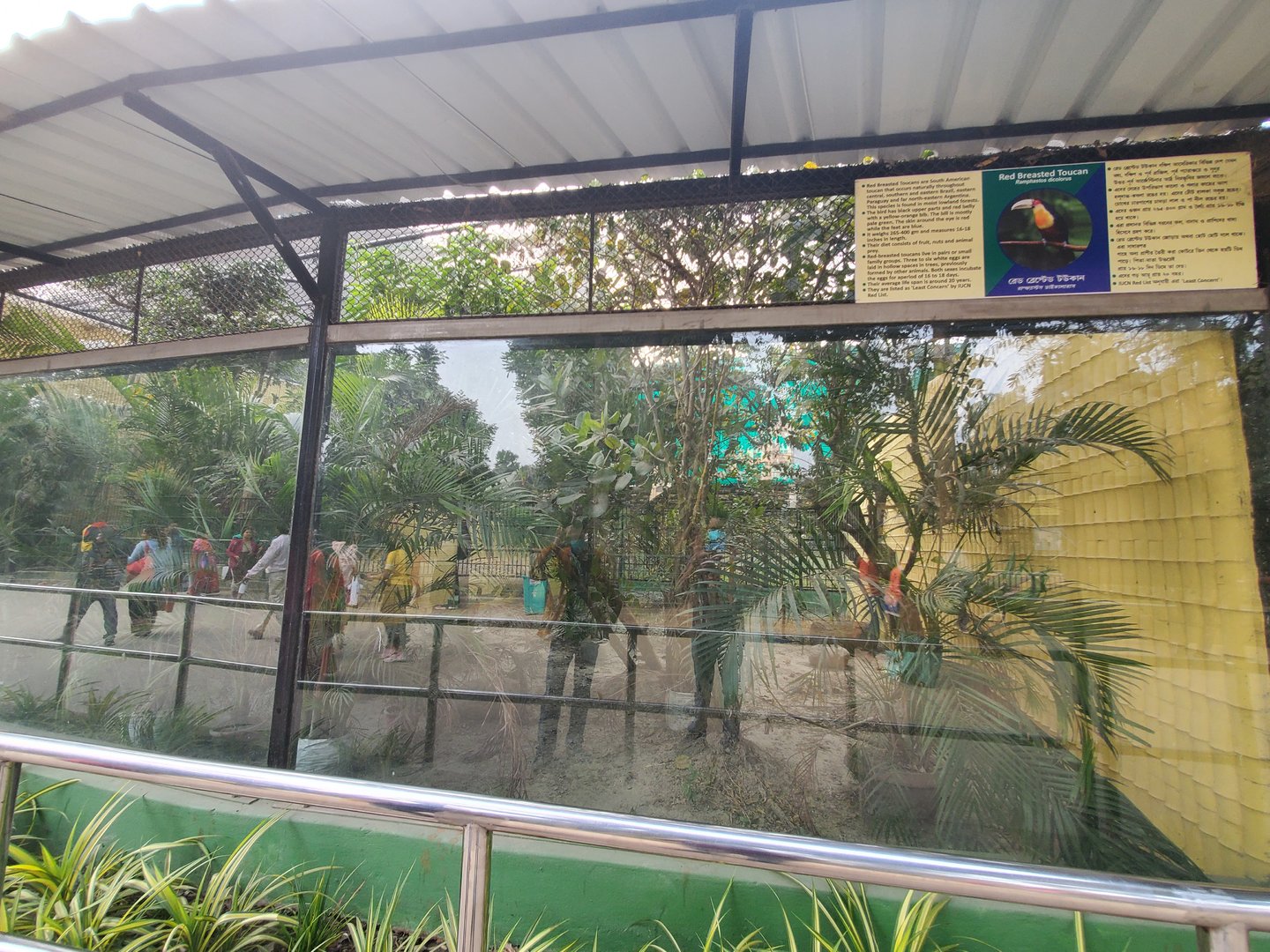 Red-Breasted Toucan Exhibit - January 2023