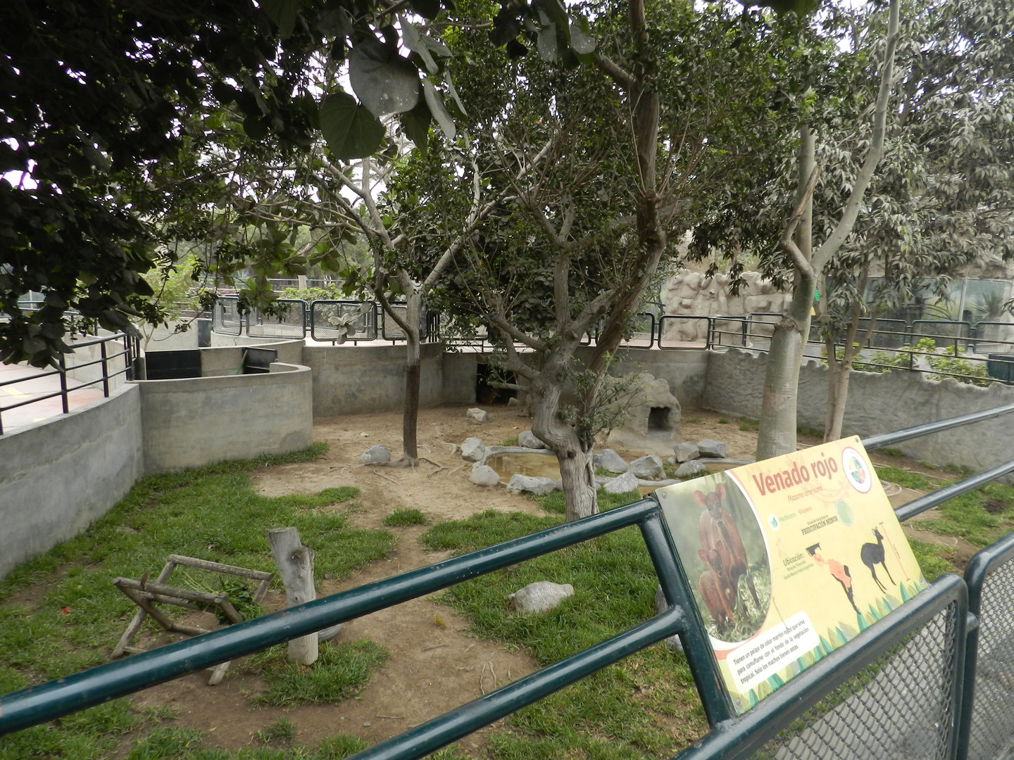 Red brocket deer exhibit - Parque Zoológico Huachipa