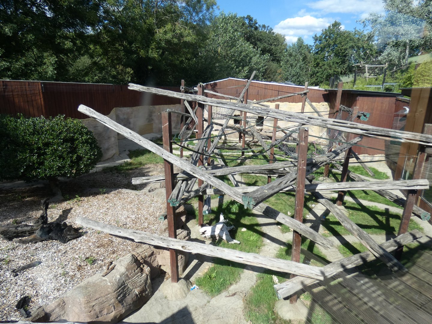 Red-capped Mangabey enclosure