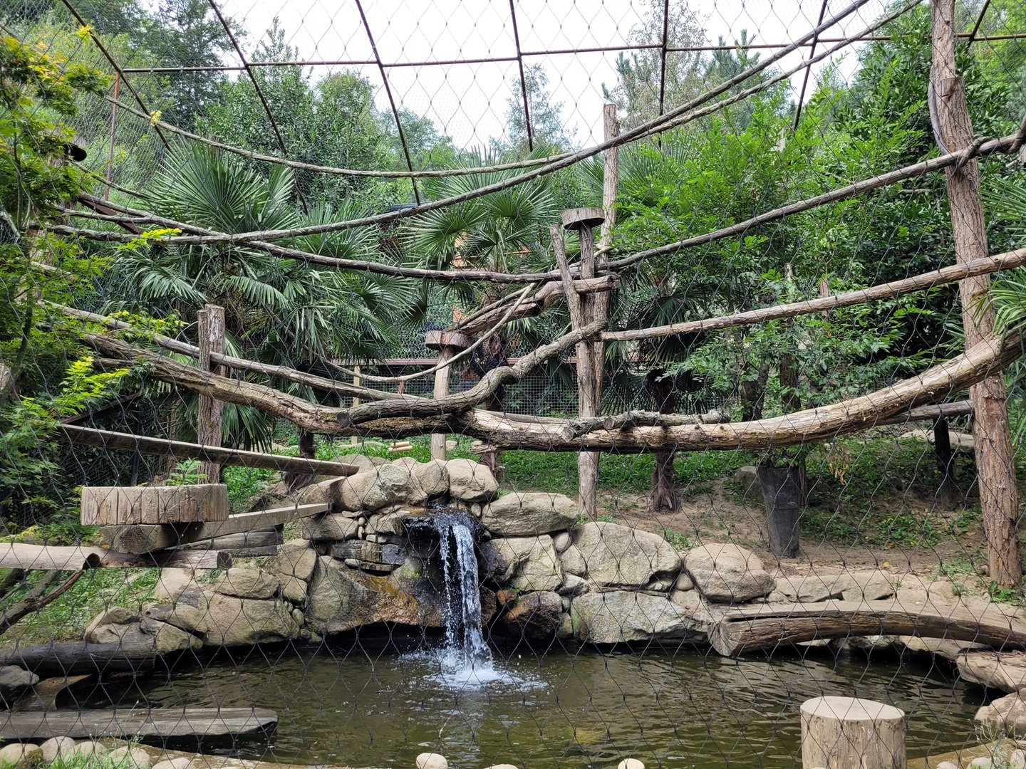 Red-cheeked gibbon and Asian short-clawed otter exhibit -Parc Animalier des Pyrénées (2023)