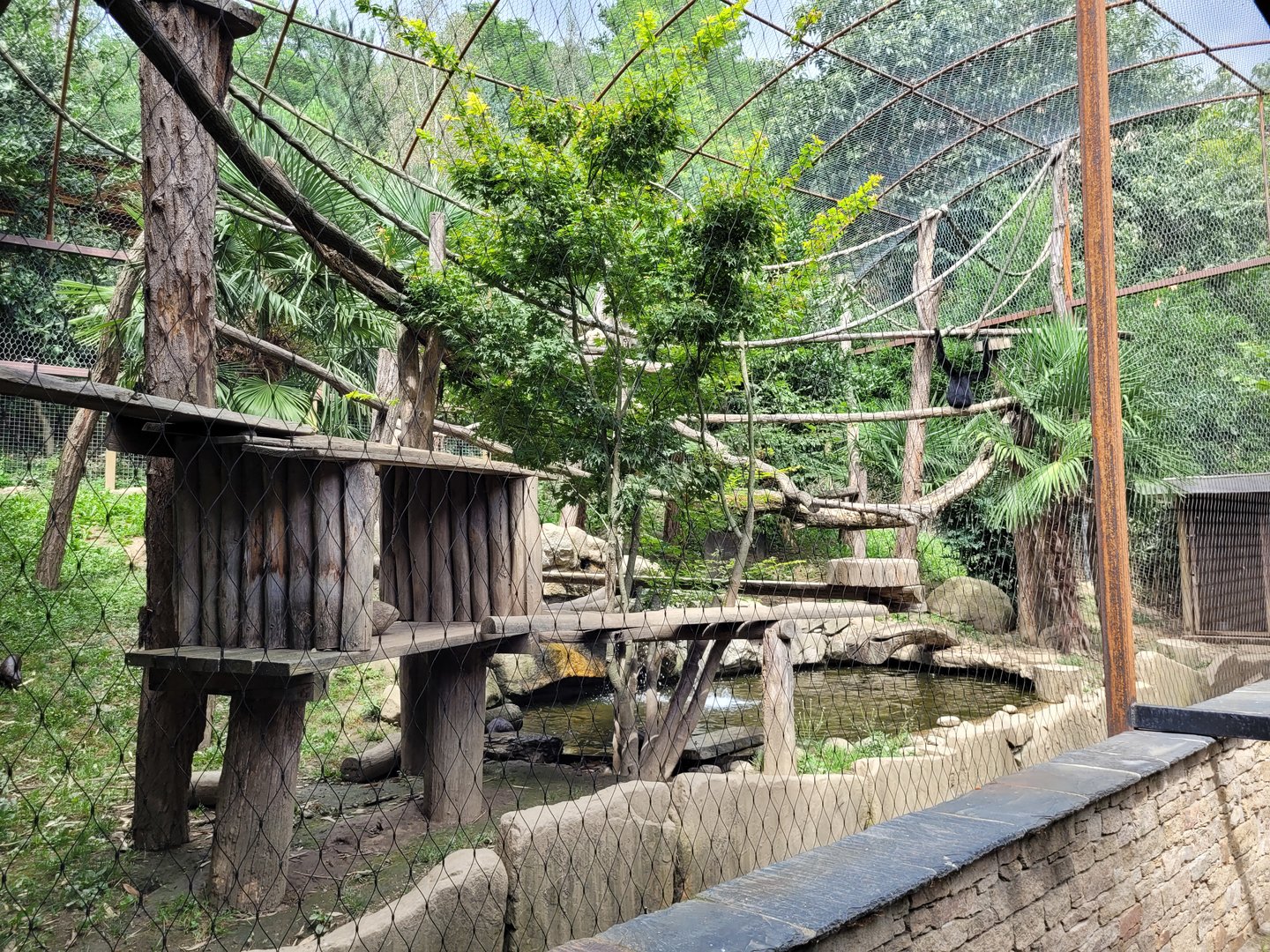 Red-cheeked gibbon and Asian short-clawed otter exhibit -Parc Animalier des Pyrénées (2023)