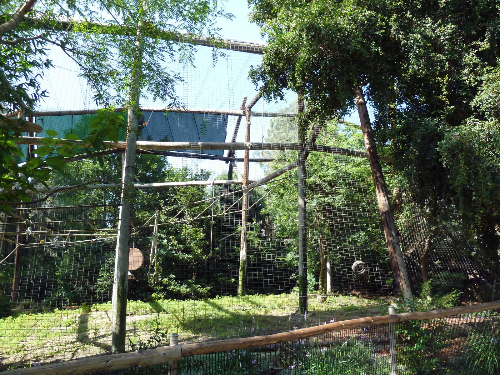 Red-Cheeked Gibbon Exhibit