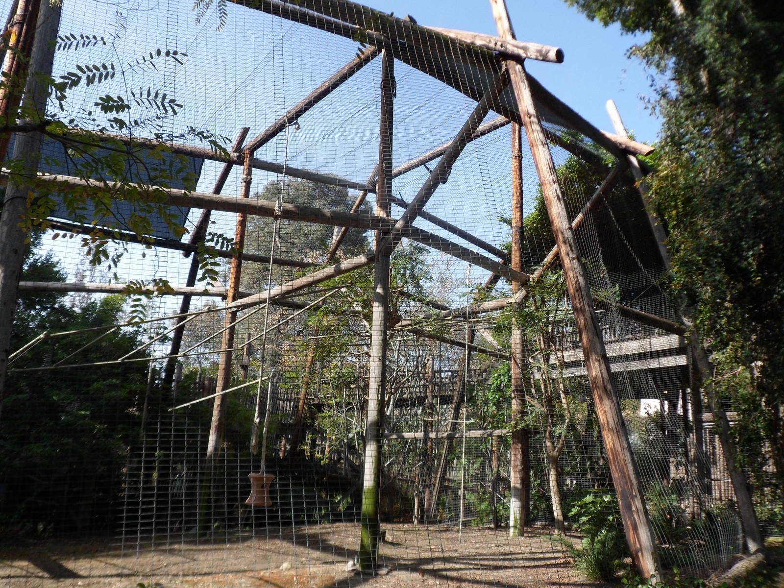 Red-Cheeked Gibbon Exhibit