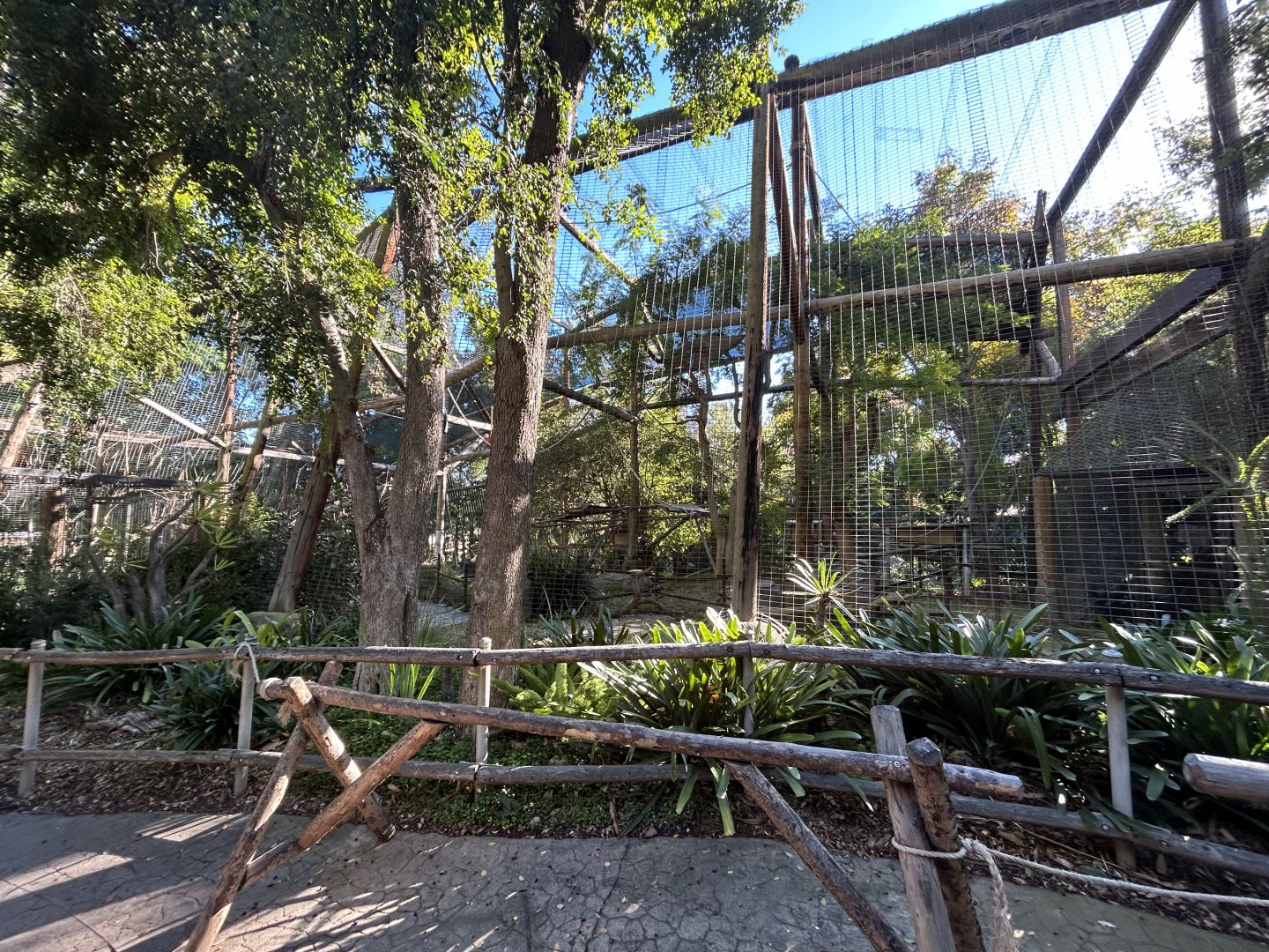 Red-Cheeked Gibbon Exhibit