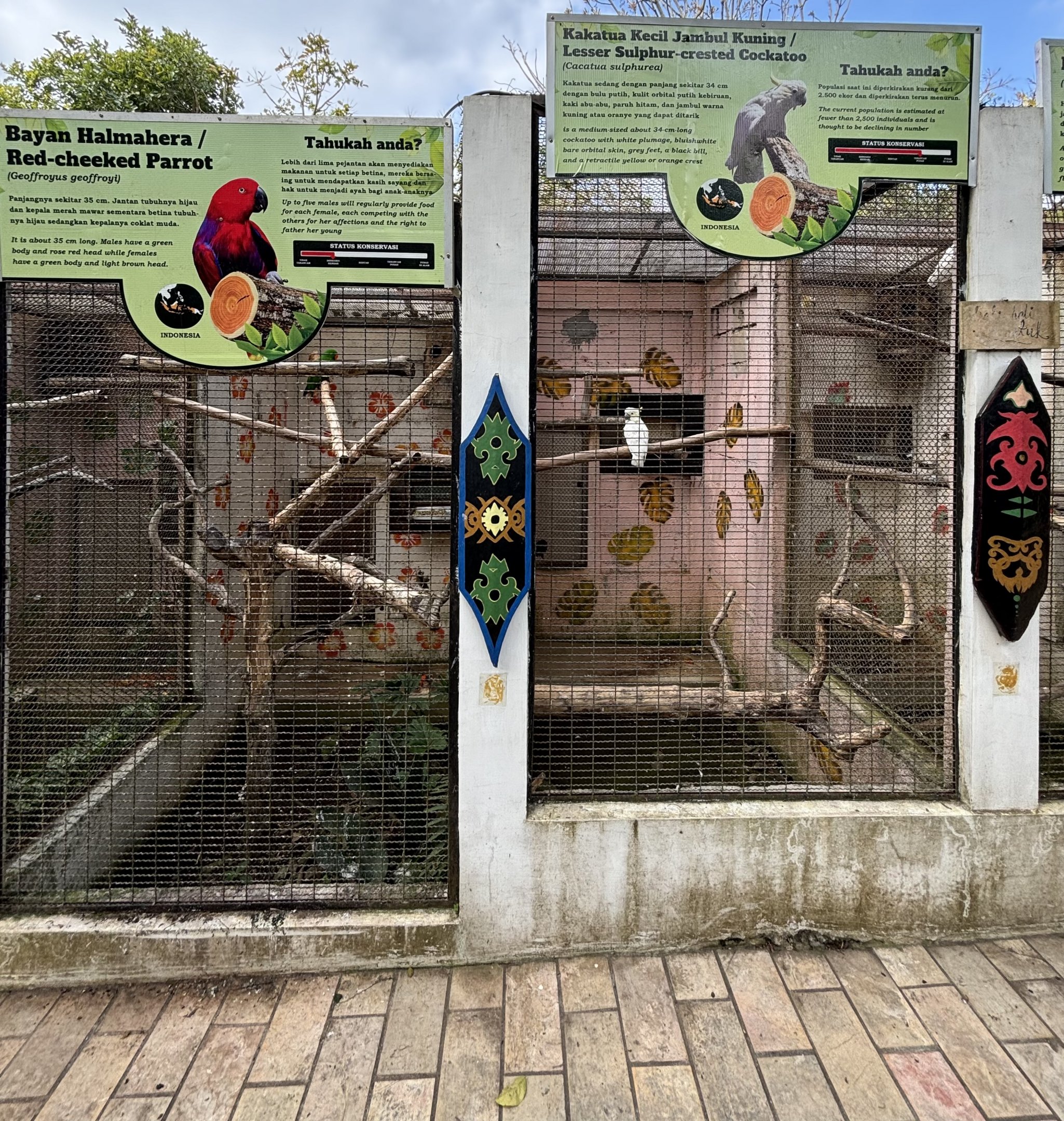 Red-cheeked Parrot + Sulphur-crested Cockatoo Aviaries