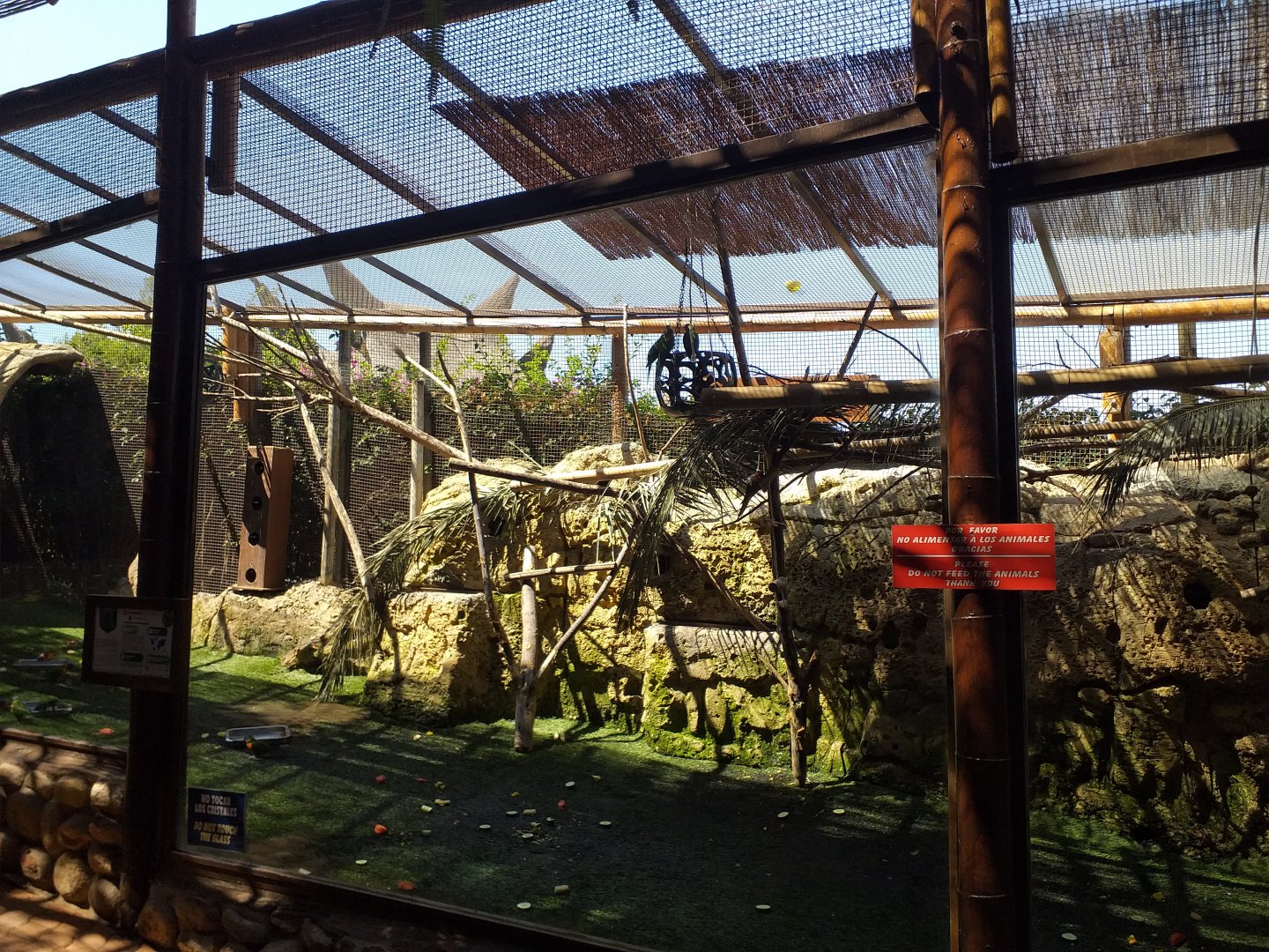 Red-collared lorikeet and Green-naped lorikeet exhibit -MundoMar Benidorm (2021)