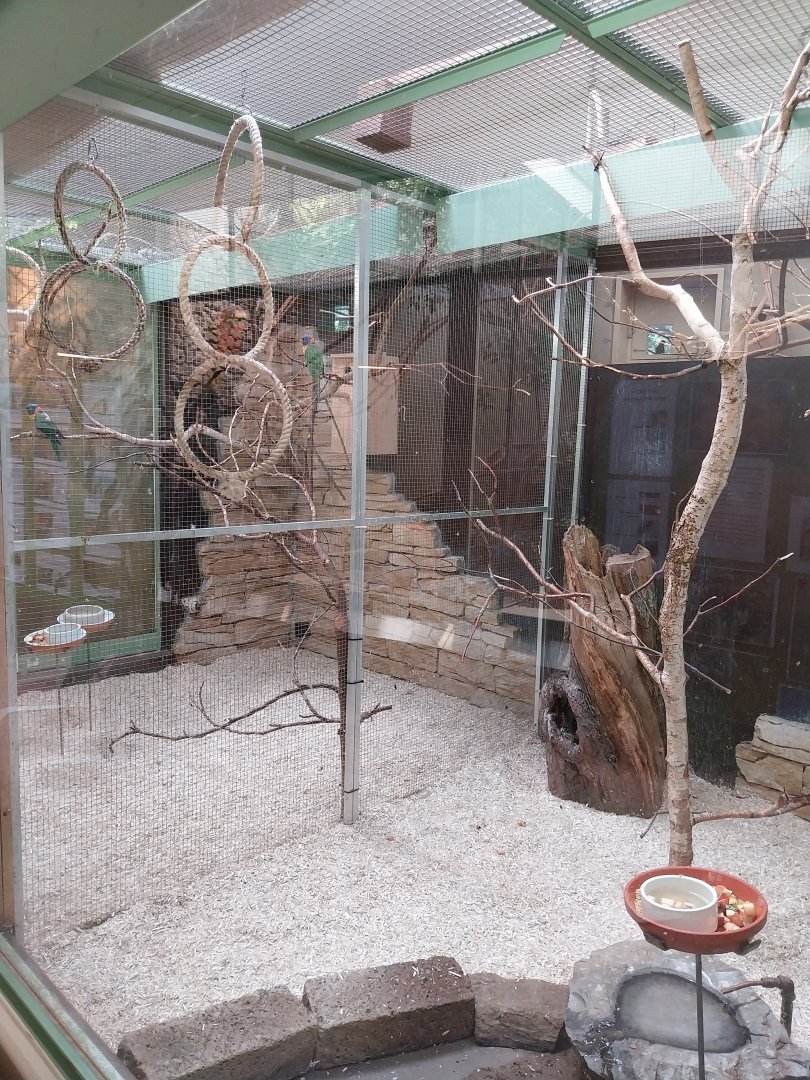 Red-collared lorikeet (left) and dusky lory (right) aviary