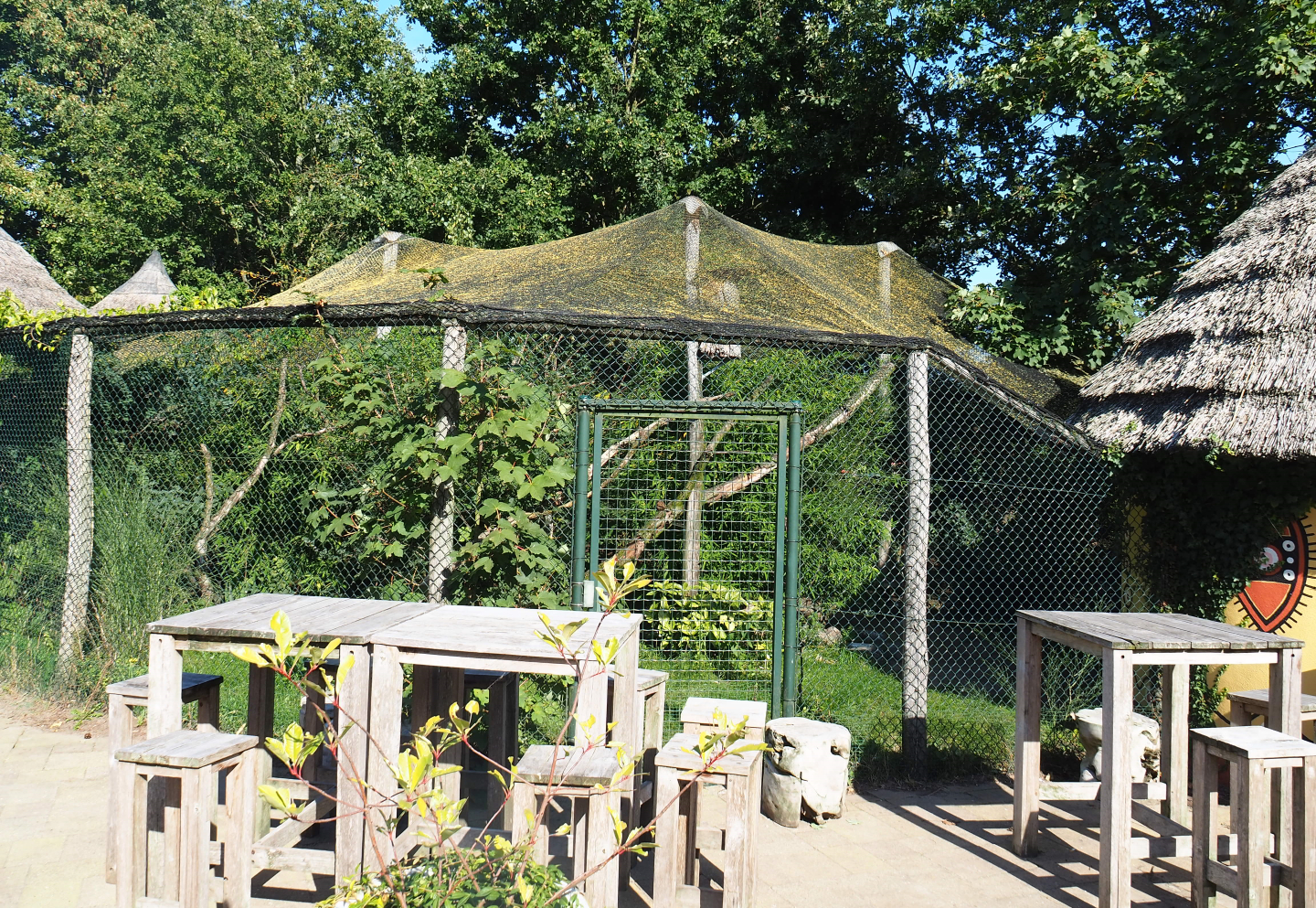 Red-crested turaco and Spotted thick-knee aviary, 2019-09-15