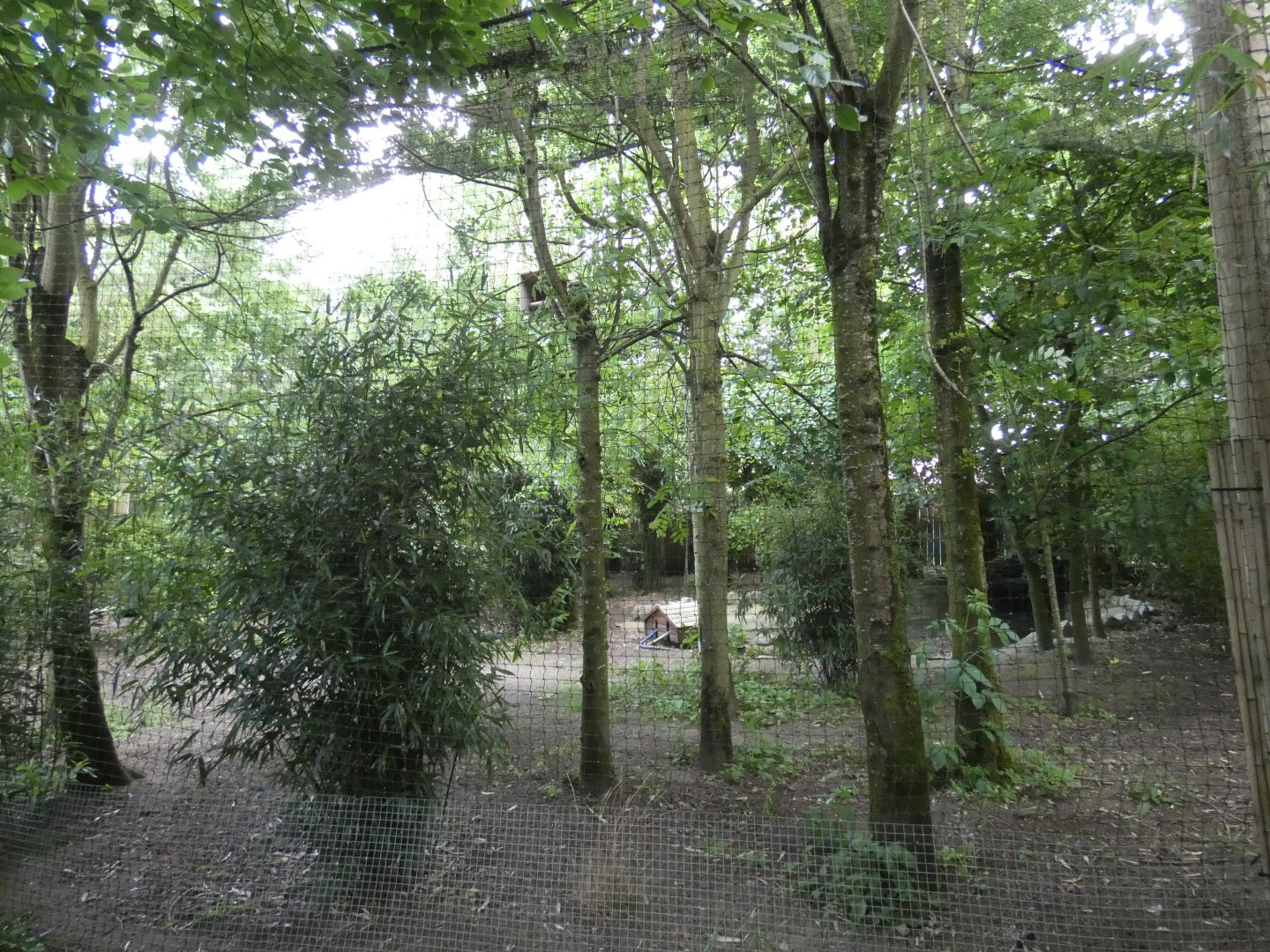 Red-crowned crane aviary