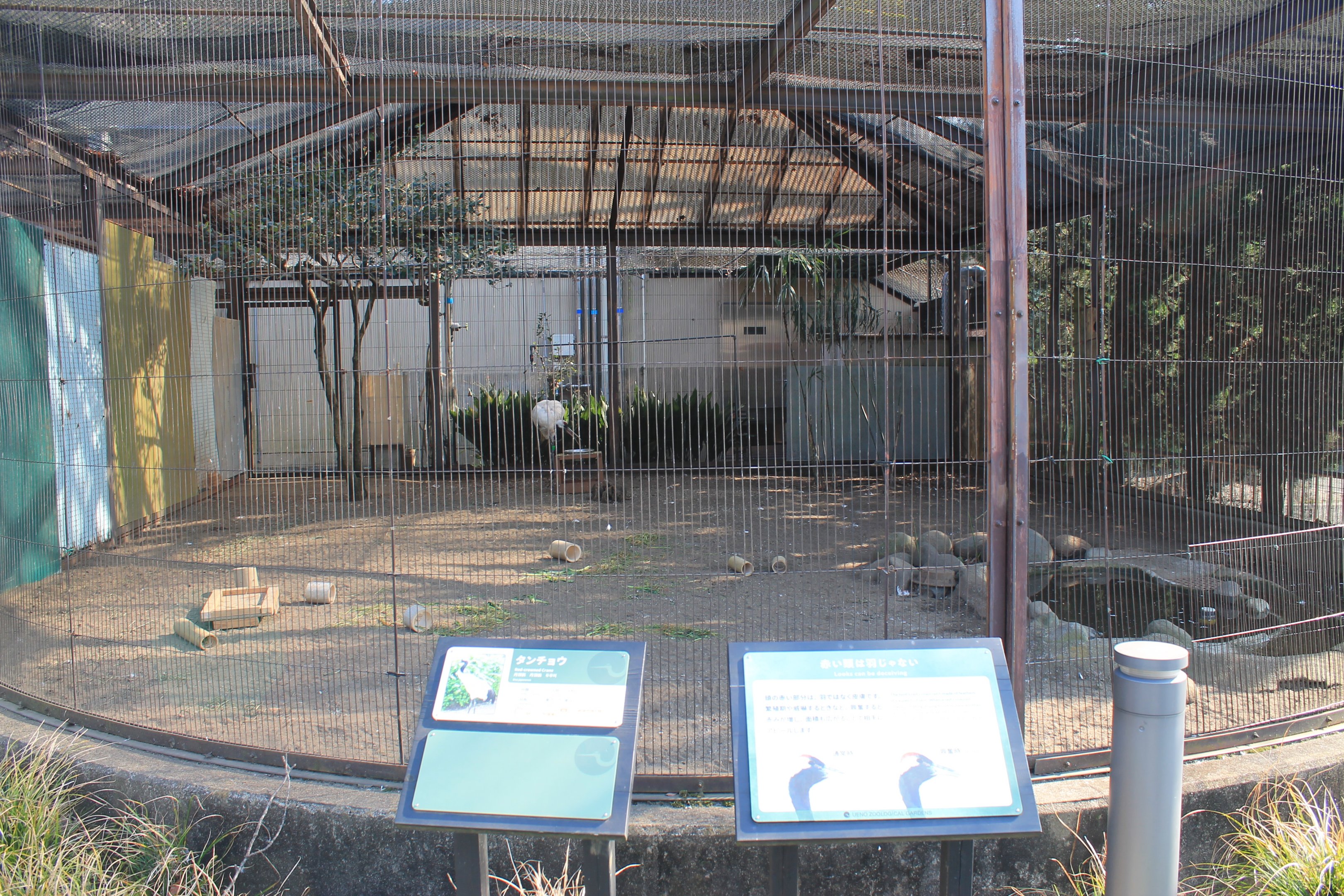 Red-crowned Crane aviary