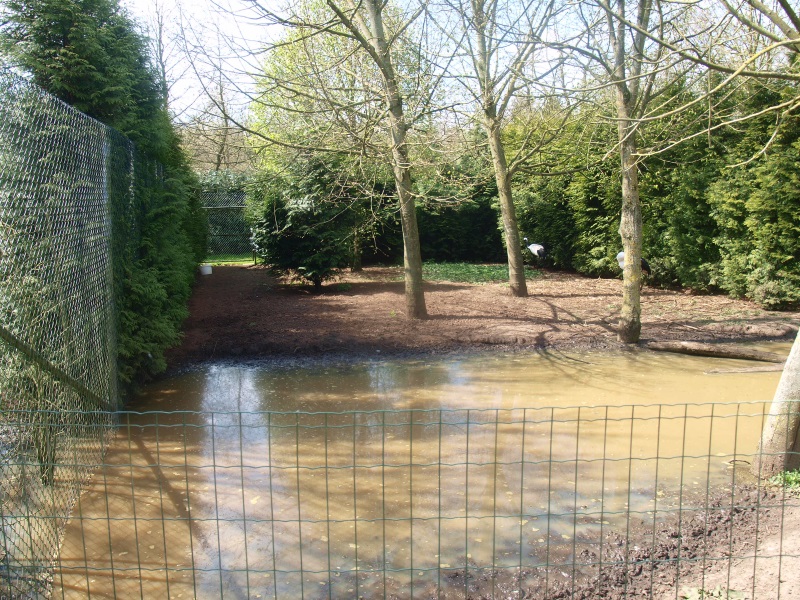 Red-crowned crane closure (April 19th, 2015)