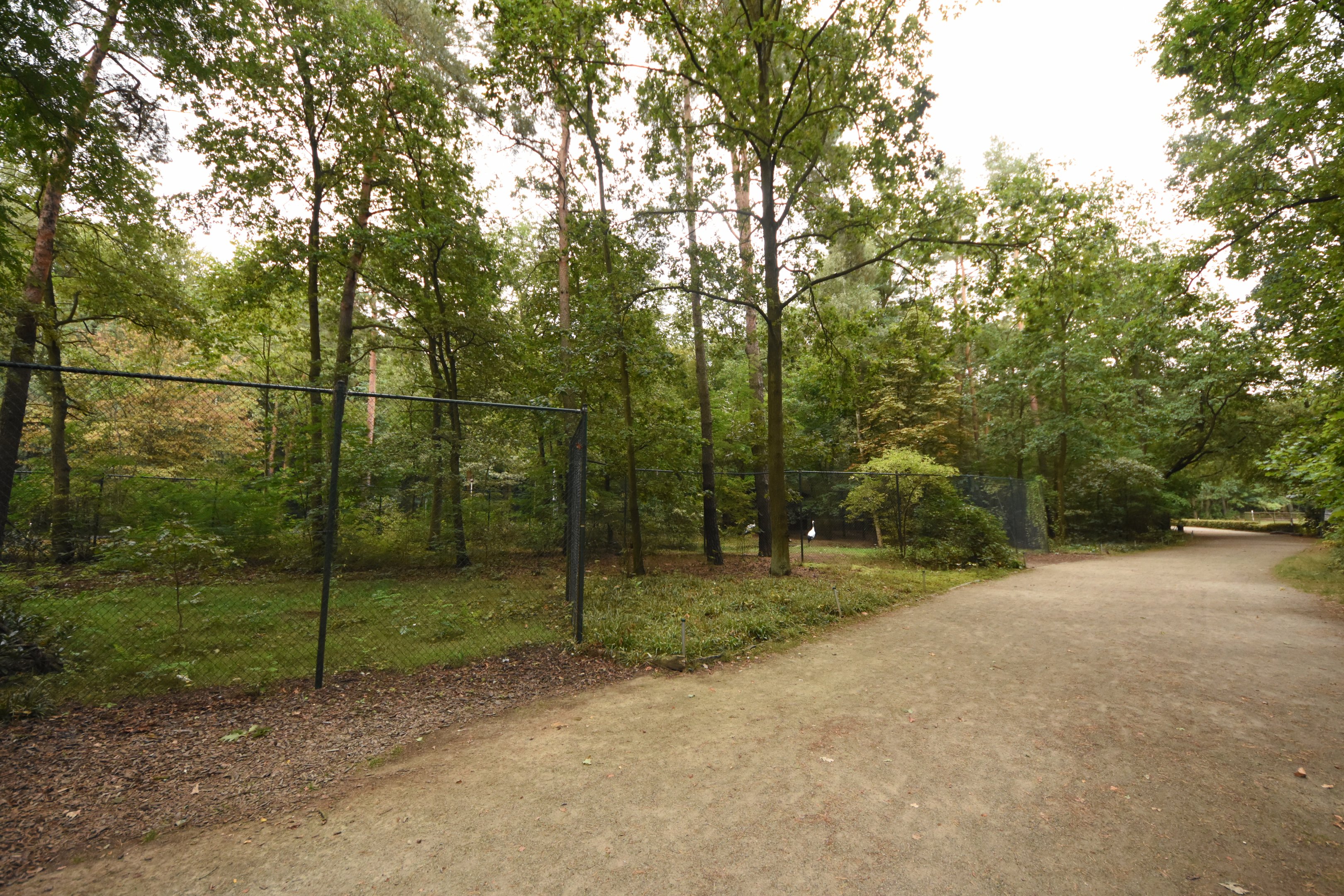 Red-crowned crane enclosure