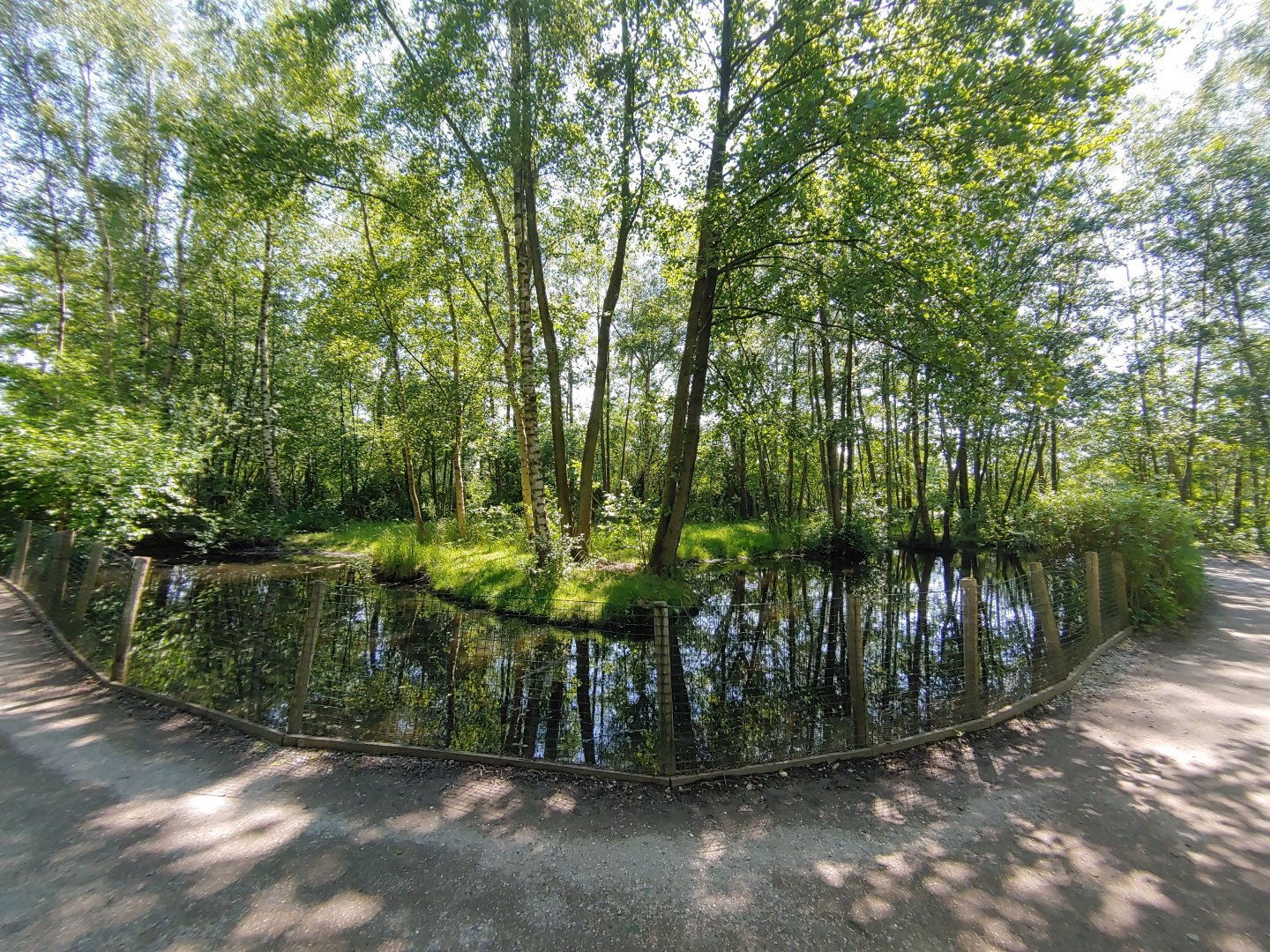 Red-crowned crane enclosure