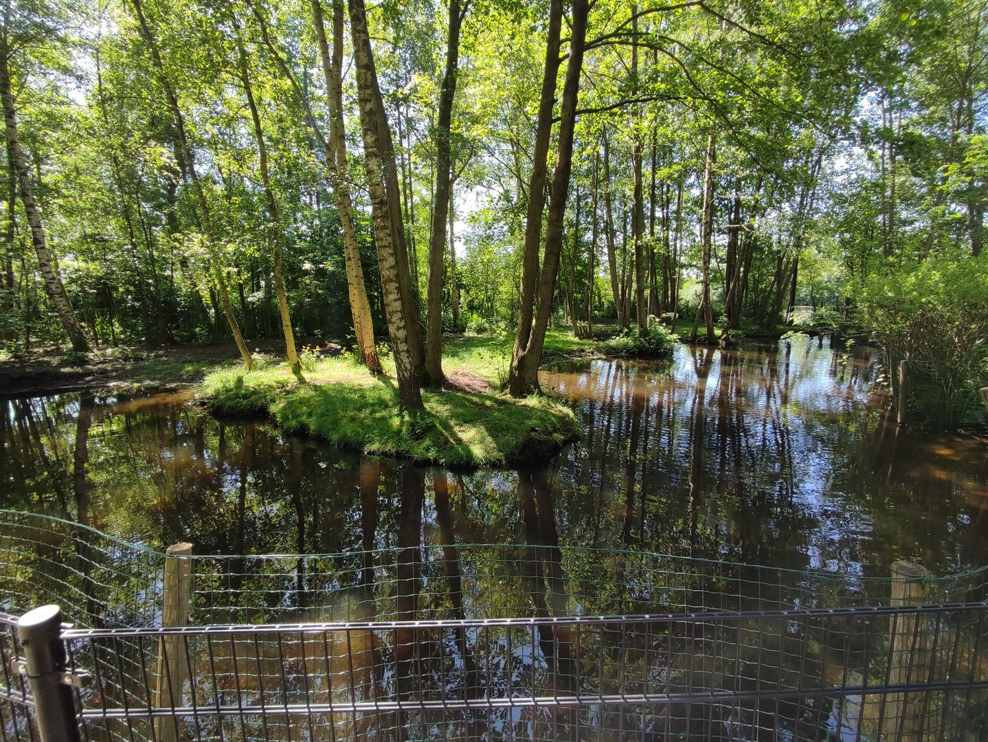 Red-crowned crane enclosure