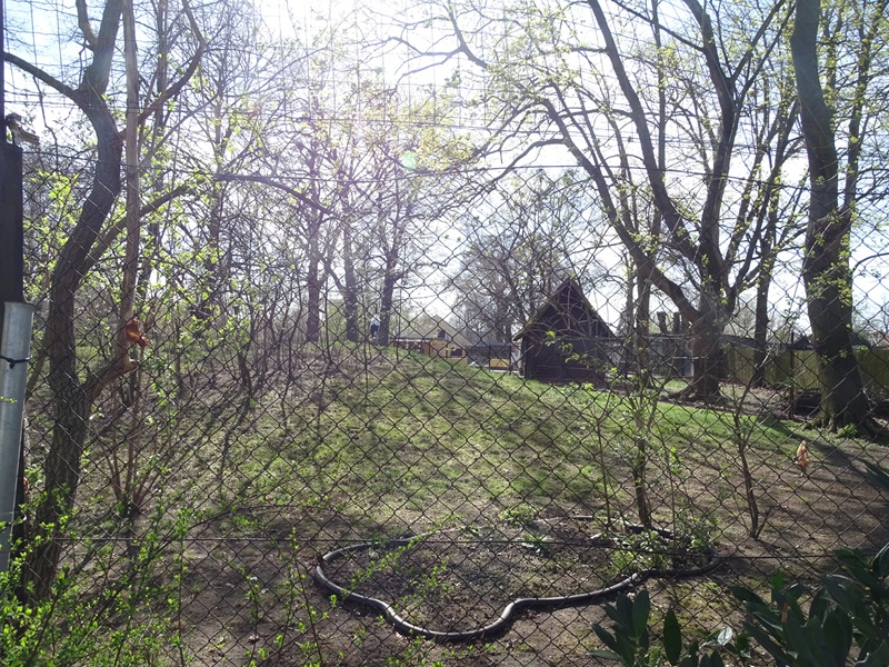 Red-crowned crane enclosure