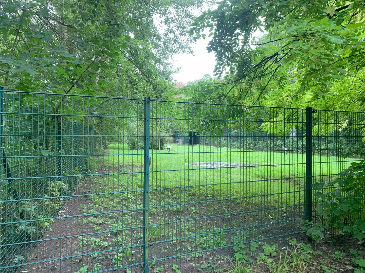 Red-crowned Crane enclosure