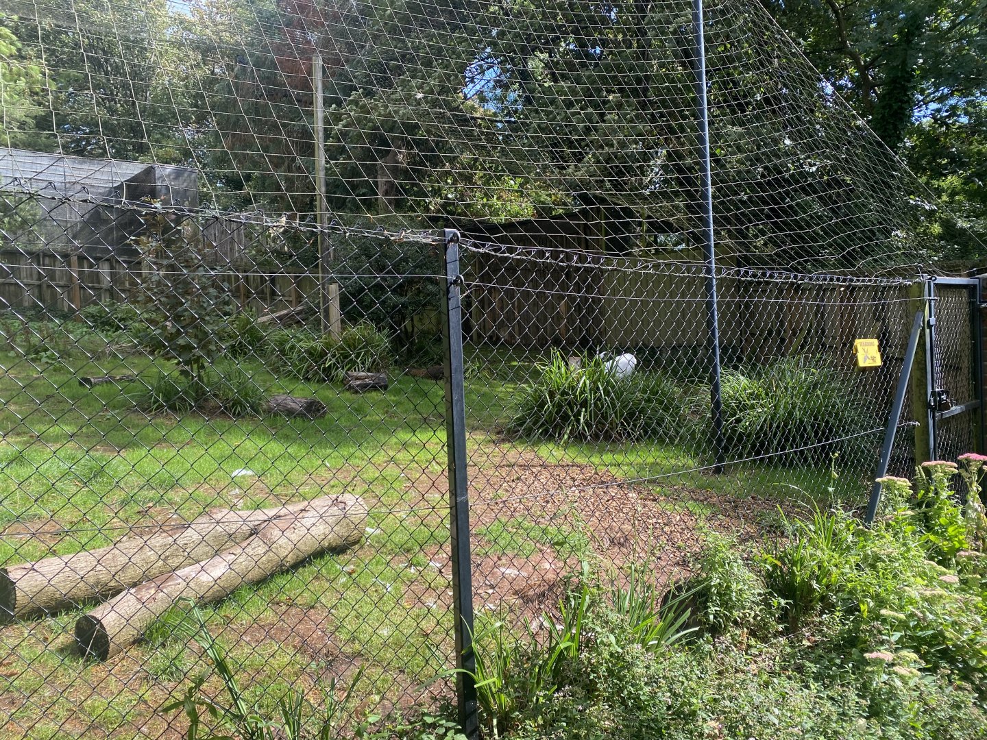 Red-crowned crane exhibit 030925