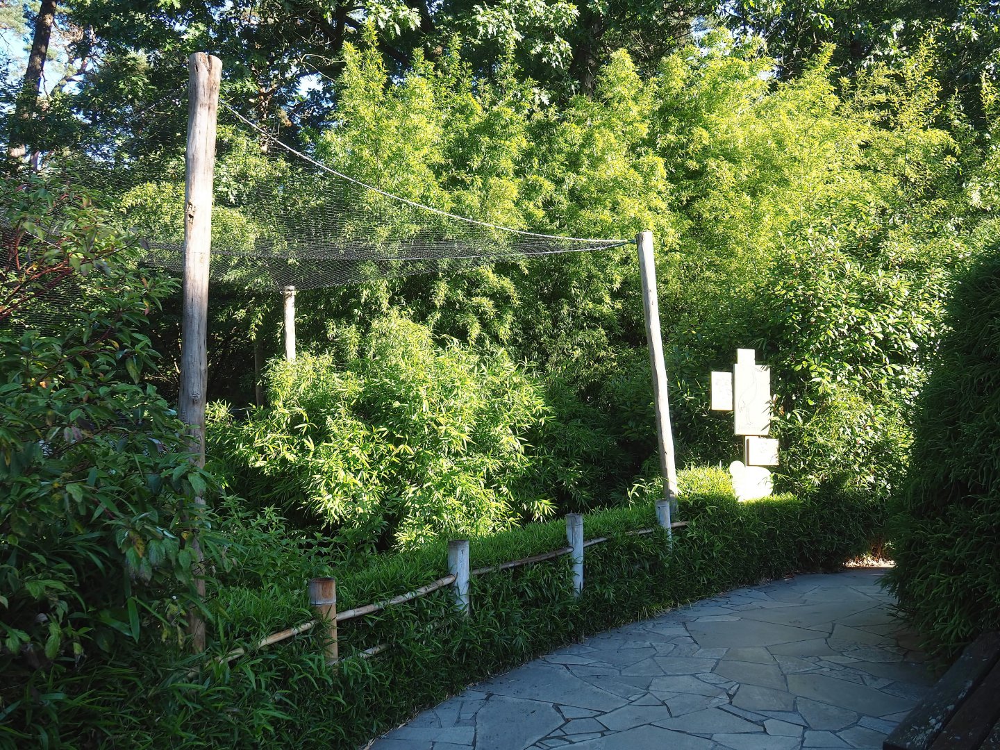 Red-crowned crane exhibit, 2023-09-24