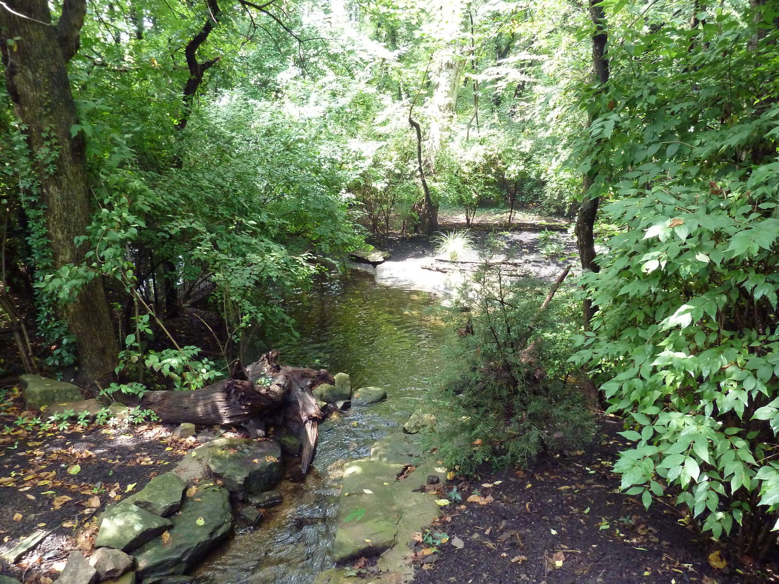 Red-Crowned Crane Exhibit
