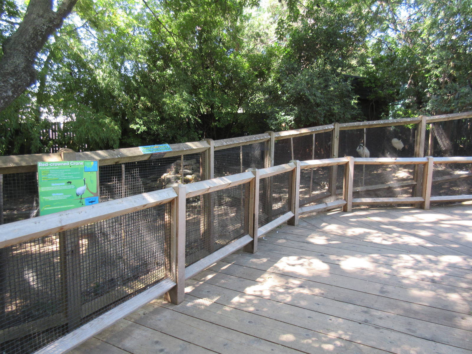 Red-Crowned Crane Exhibit