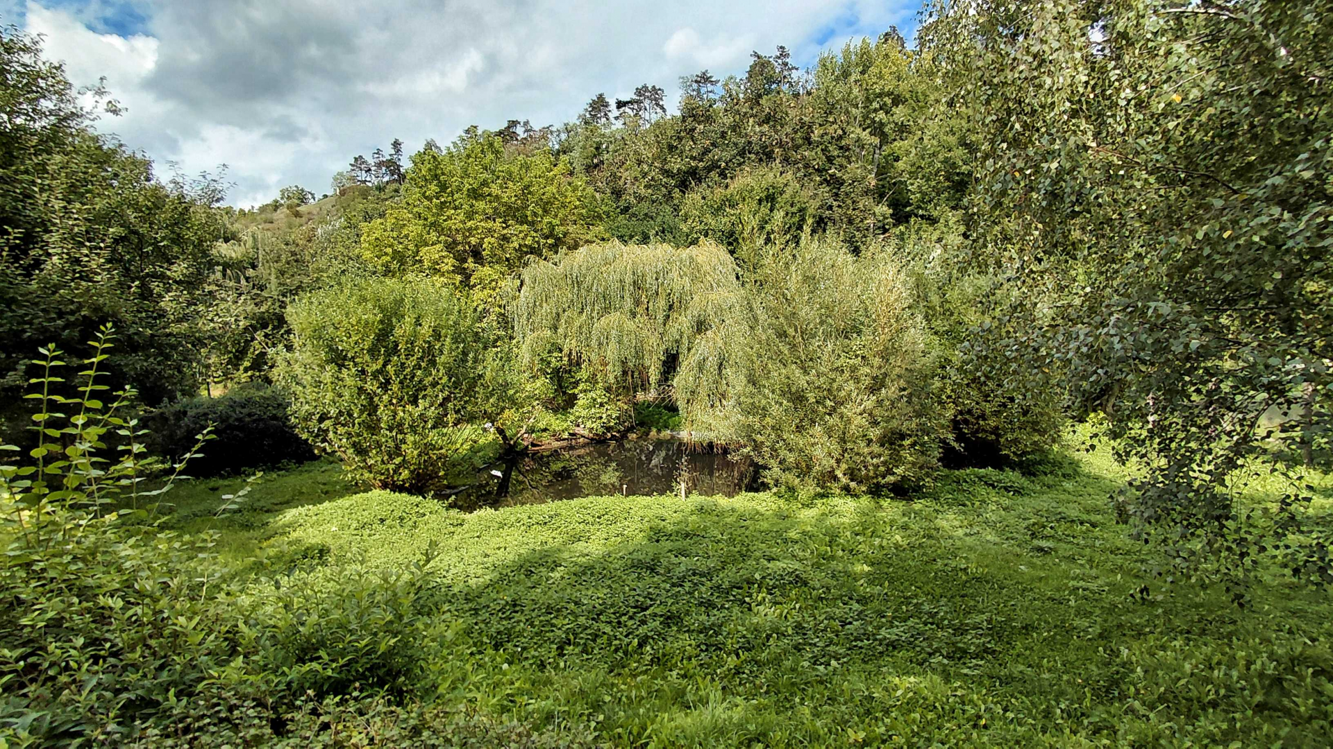 Red-crowned crane exhibit