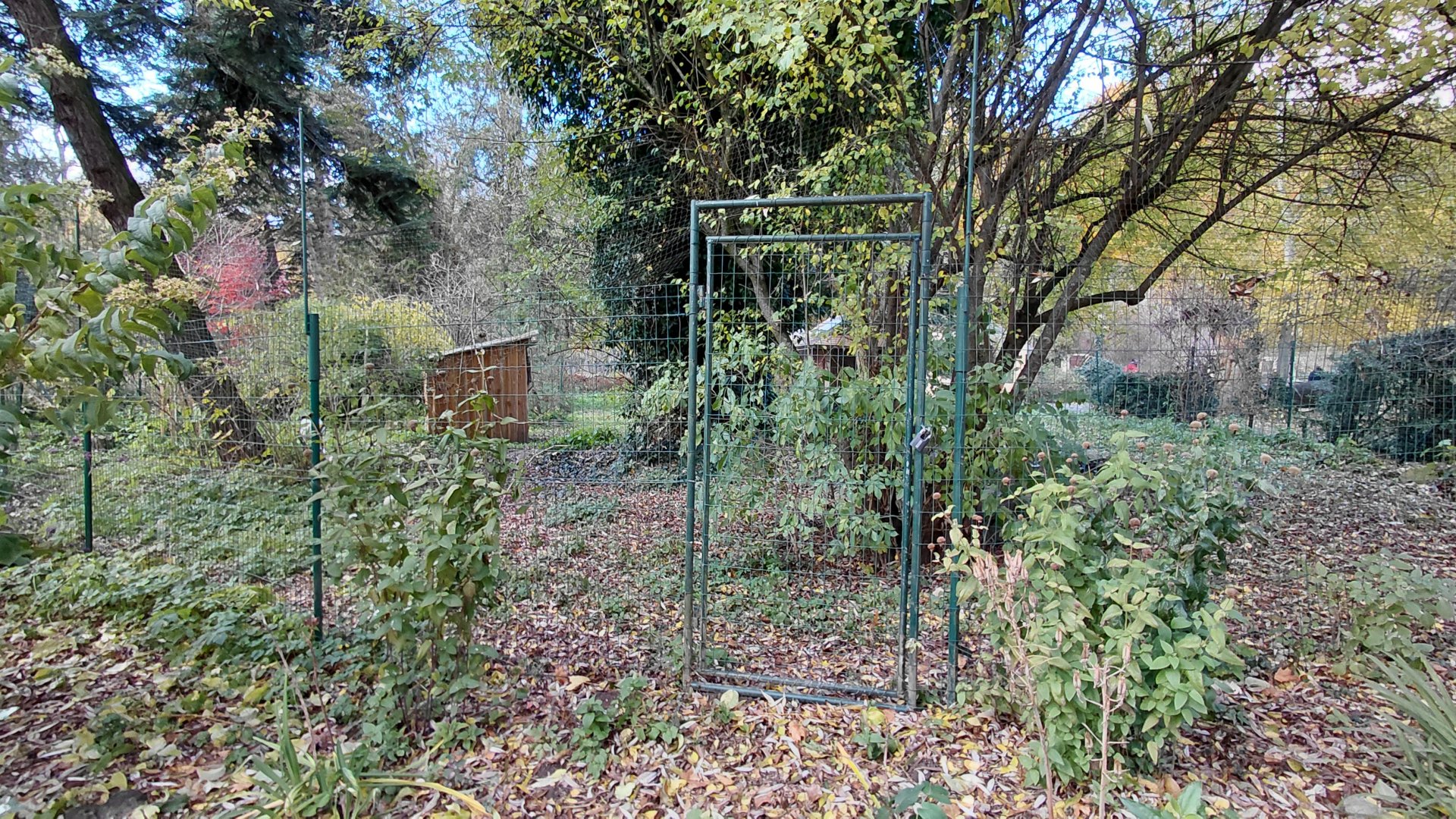 Red-crowned crane exhibit