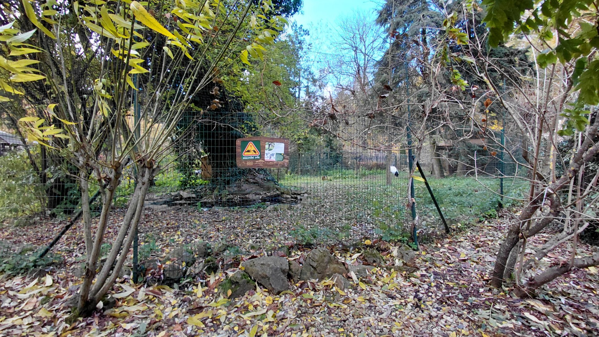 Red-crowned crane exhibit