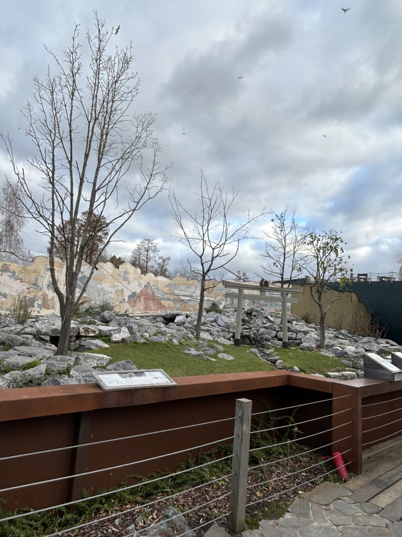 Red-crowned crane exhibit