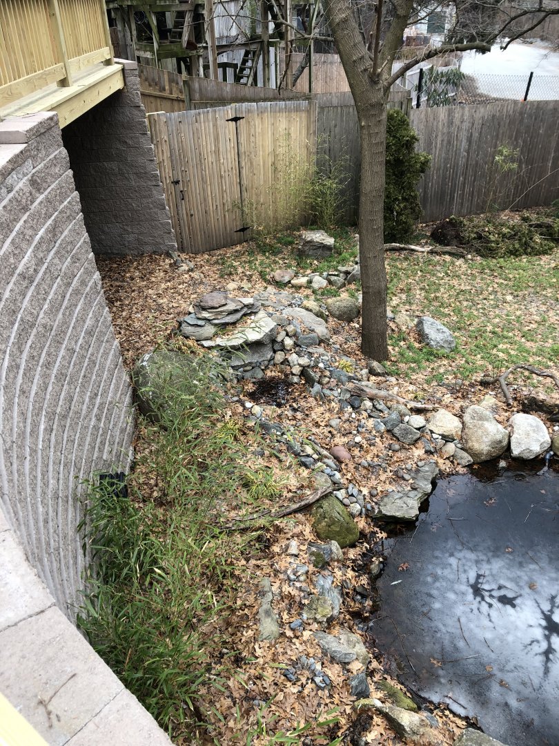 Red Crowned Crane Habitat (Left Side) - Feb, 2020