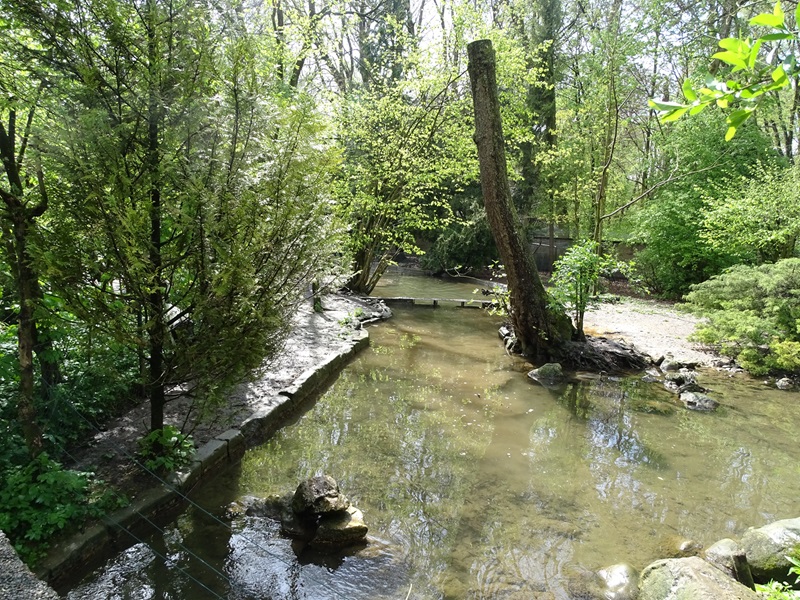 Red-crowned crane + paradise shellduck enclosure