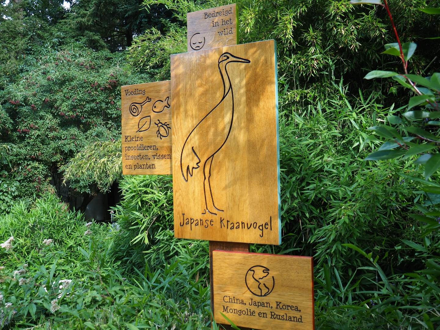Red-crowned crane sign