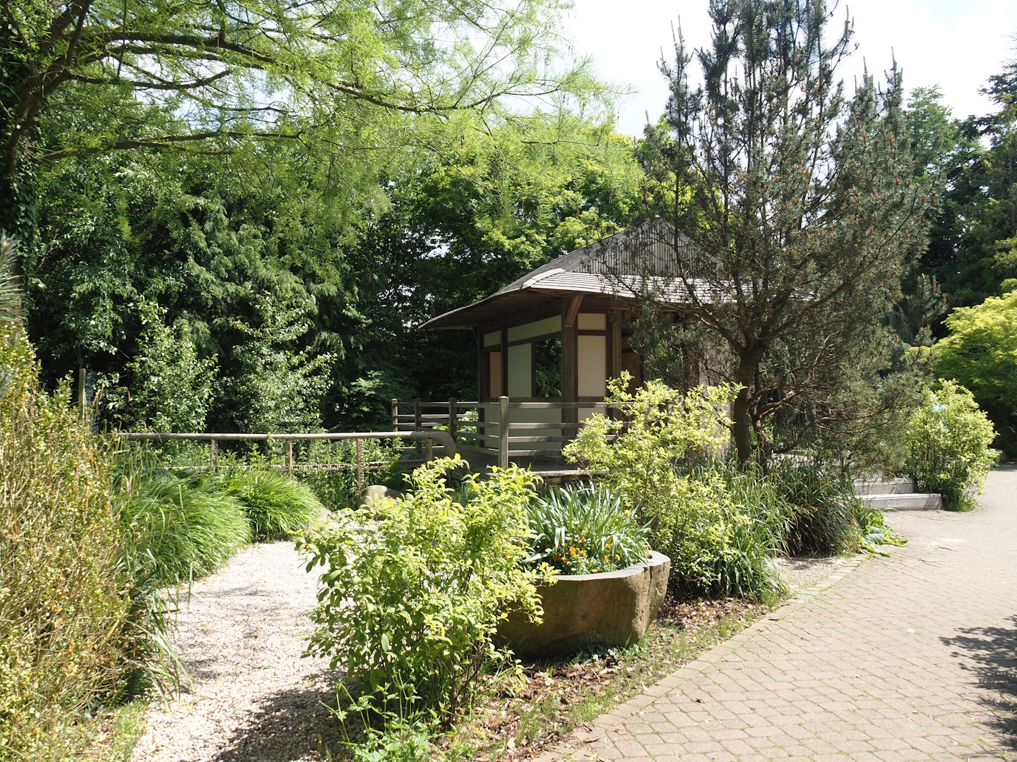 Red-crowned crane viewing pavilion, 2024-05-23