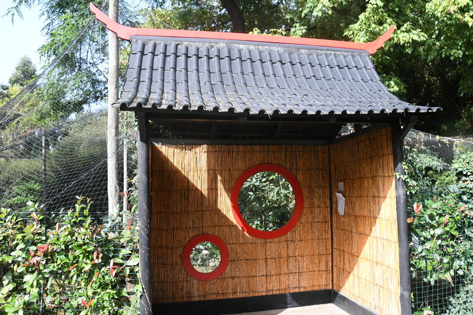 Red-crowned Cranes Aviary (Zoo Lourosa)