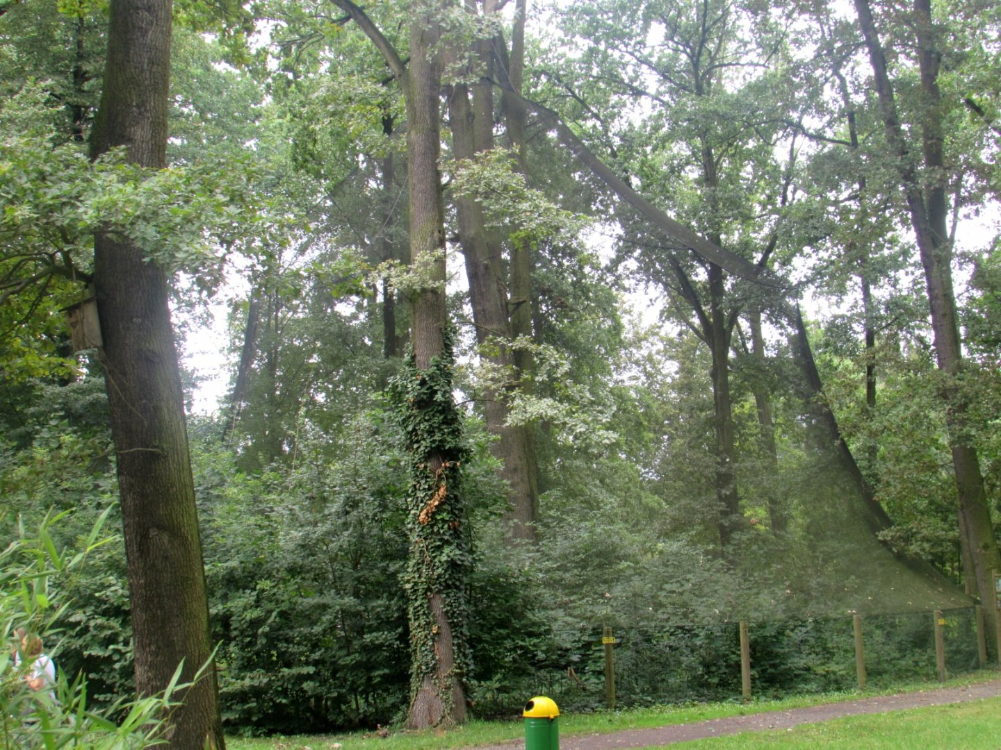 Red-crowned Cranes aviary