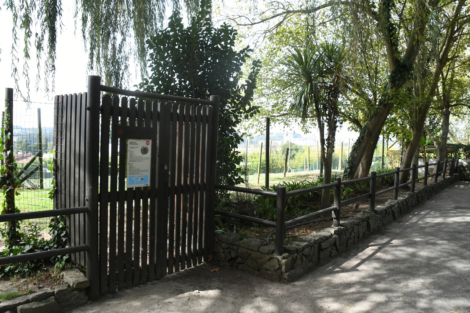 Red-crowned Cranes pen