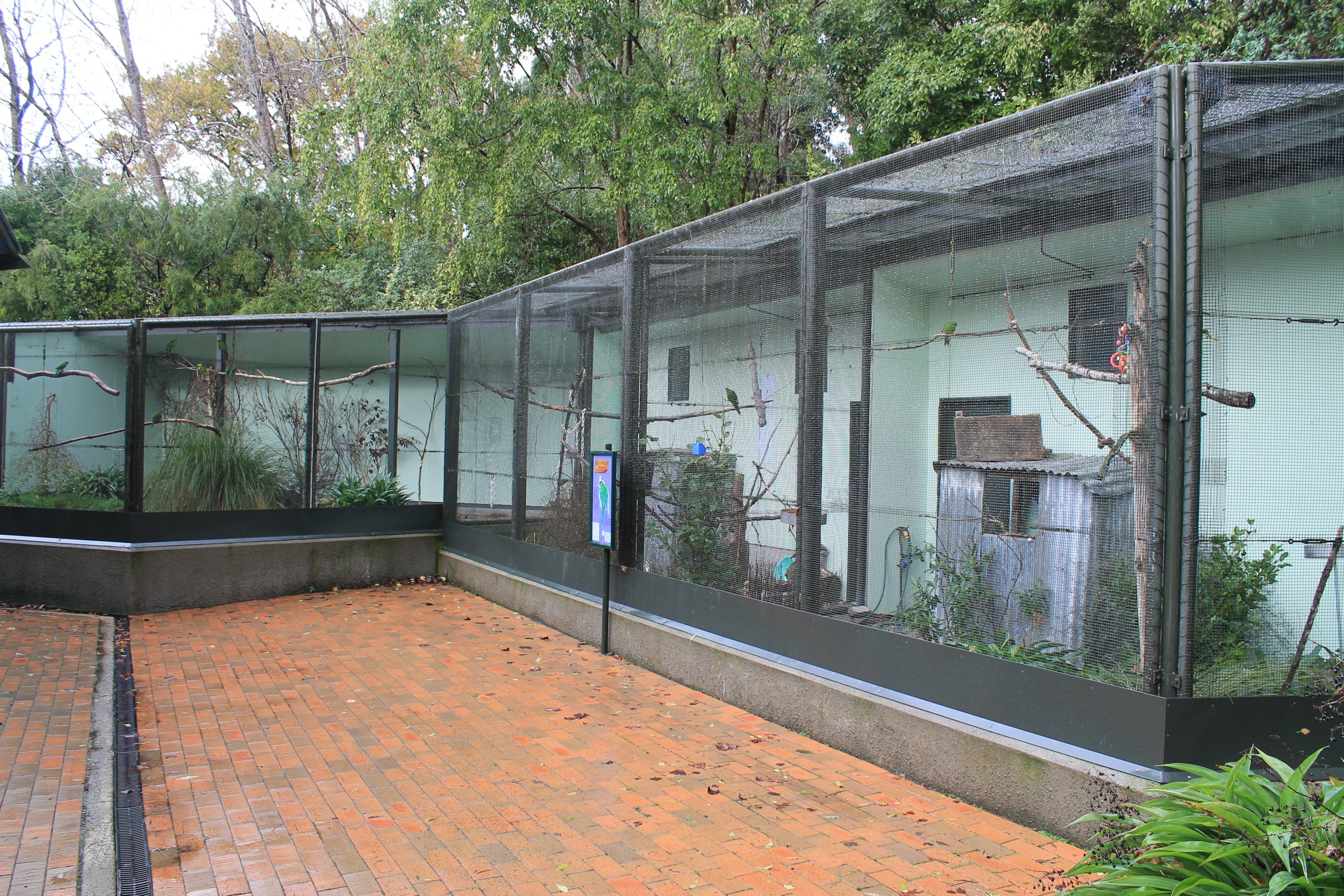 Red-crowned Kakariki aviary