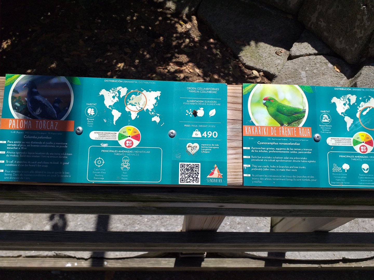 Red-crowned parakeet and Wood pigeon signs -Sendaviva (2020)