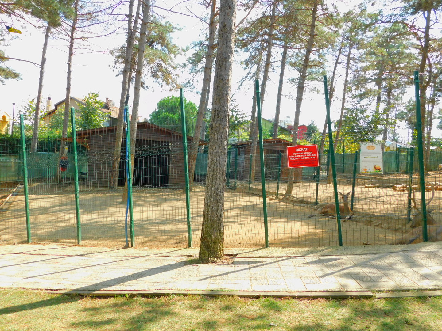 Red Deer Enclosure at Park Of Istanbul