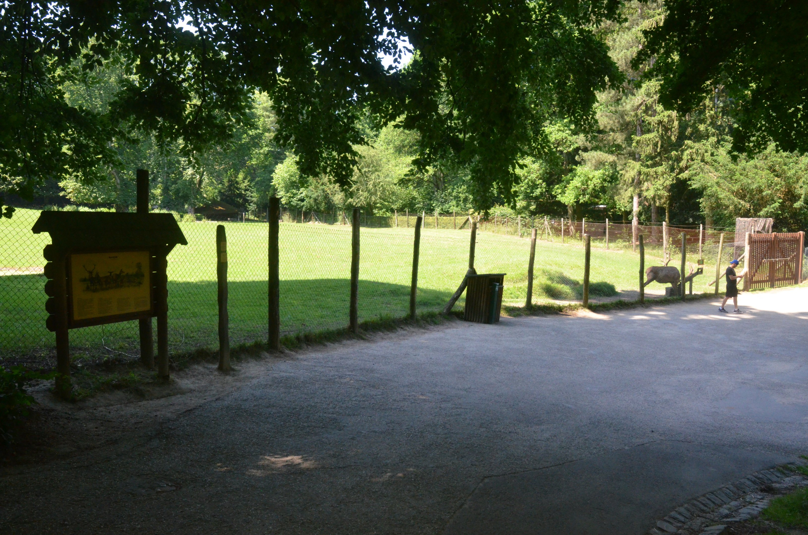 Red Deer Enclosure at Wildpark Grafenberger Wald, 23/06/2019