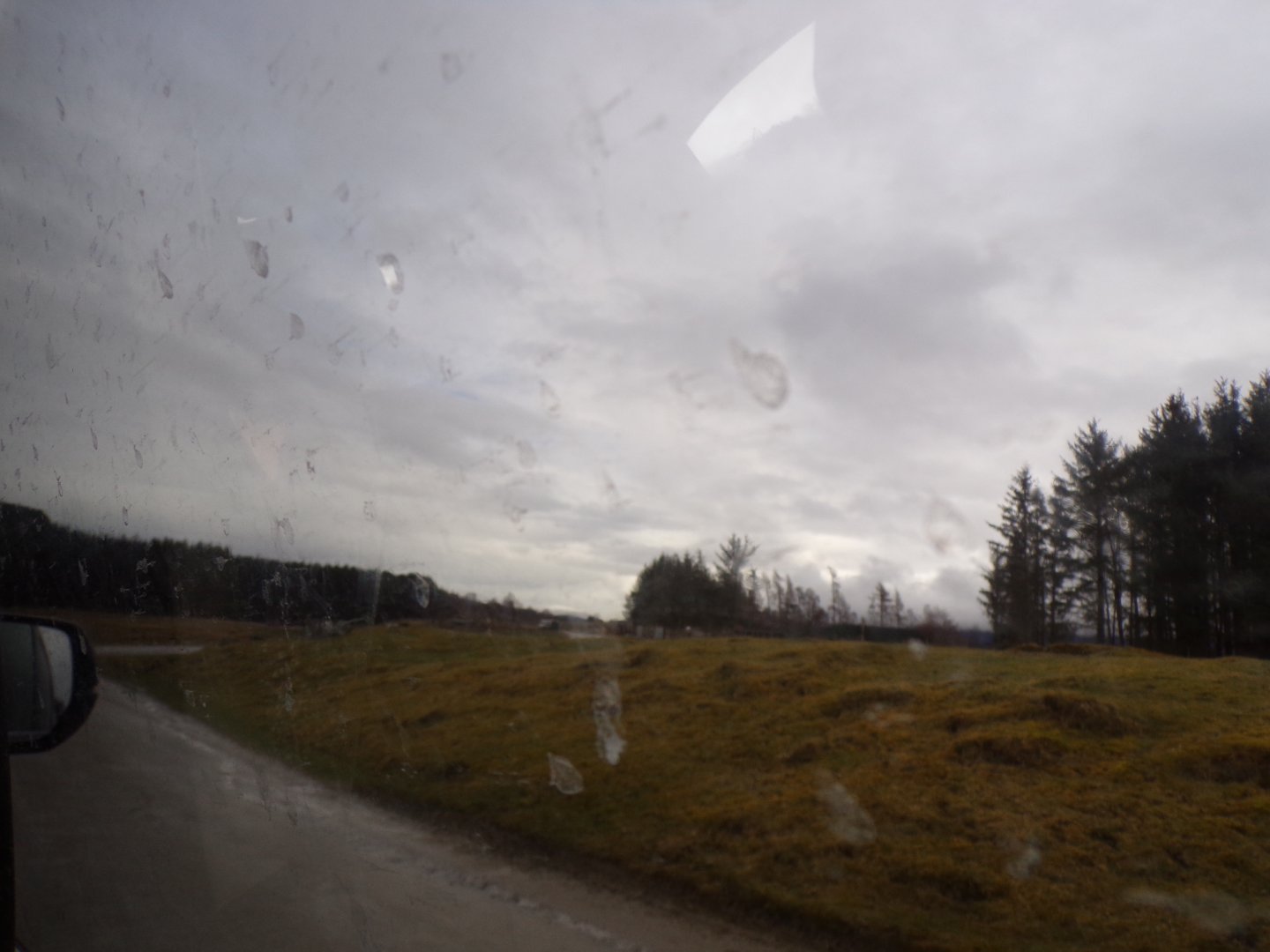 Red deer, European bison and Prezwalski’s horse reserve 5.4.24