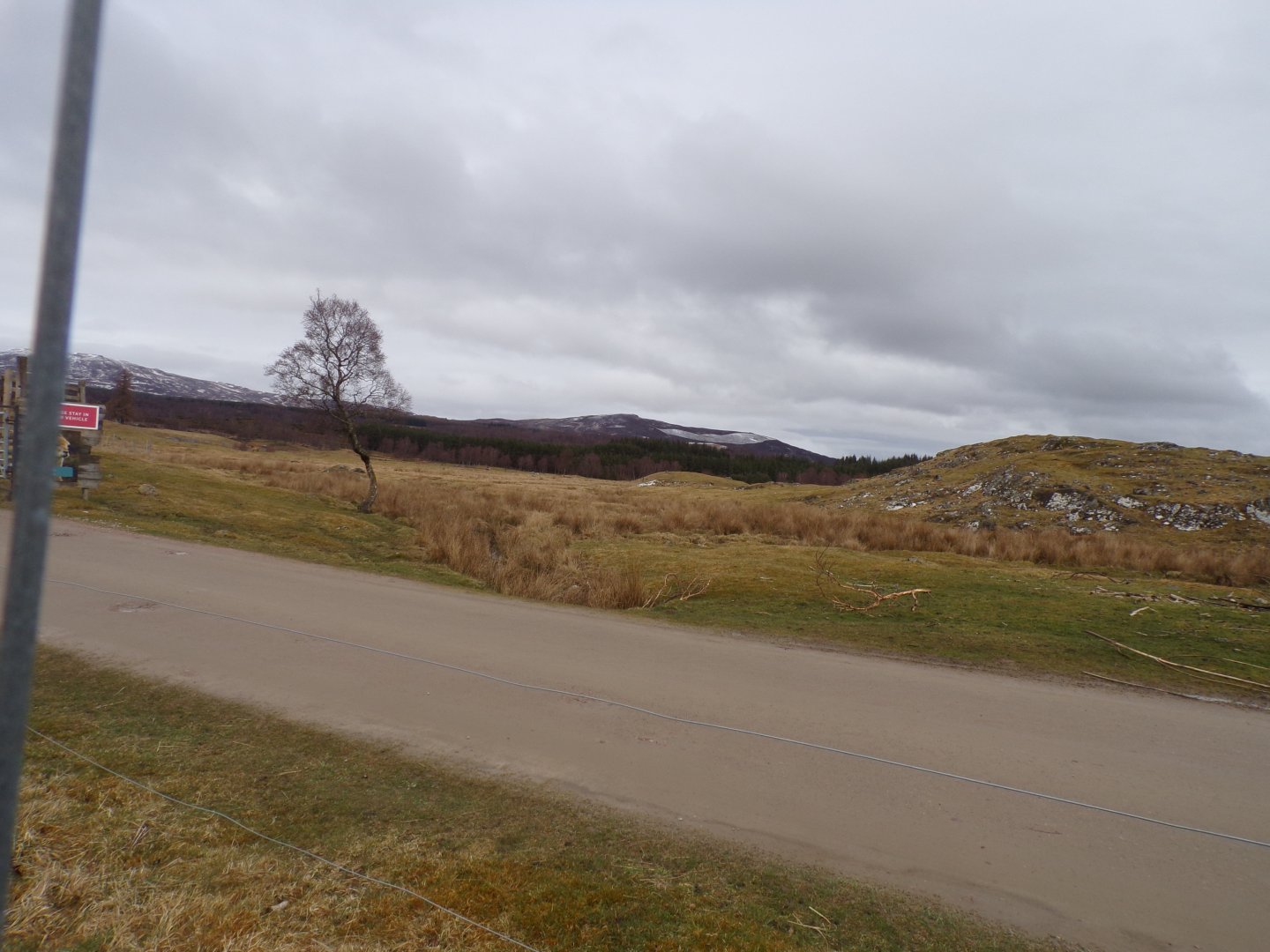 Red deer, European bison and Prezwalski’s horse reserve 5.4.24