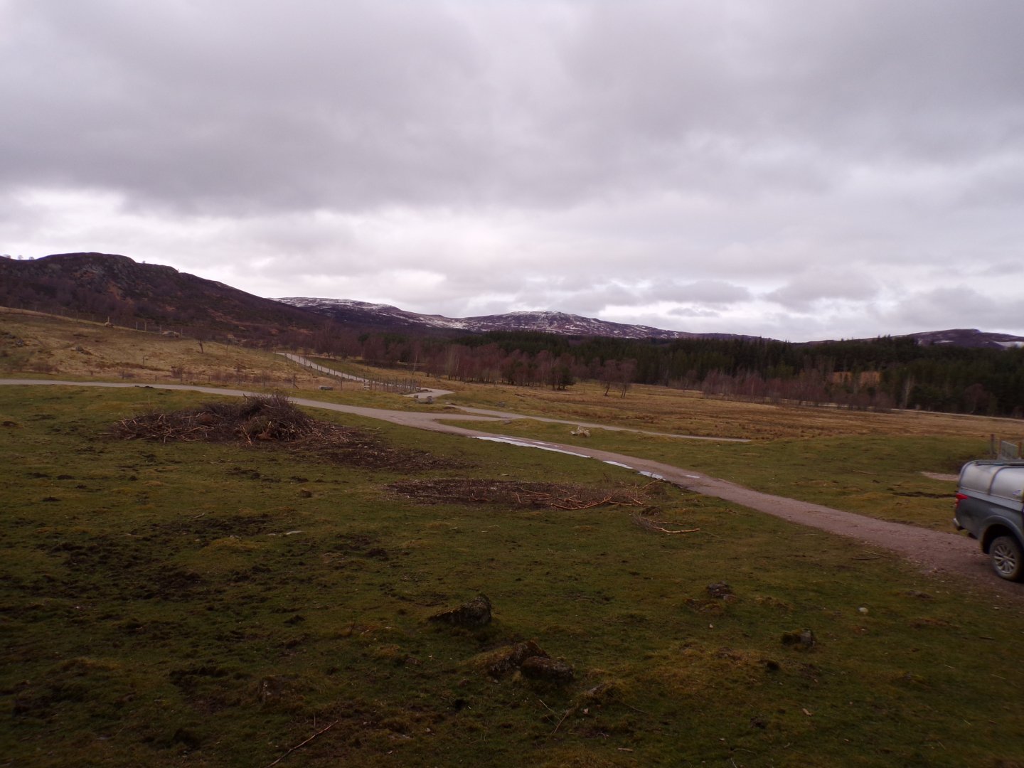Red deer, European bison and Prezwalski’s horse reserve 5.4.24