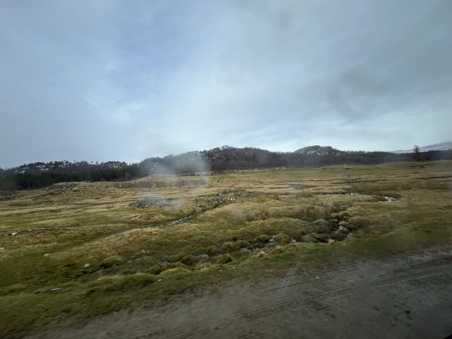 Red deer, European bison and Przewalski’s horse drive-through reserve 5.4.24