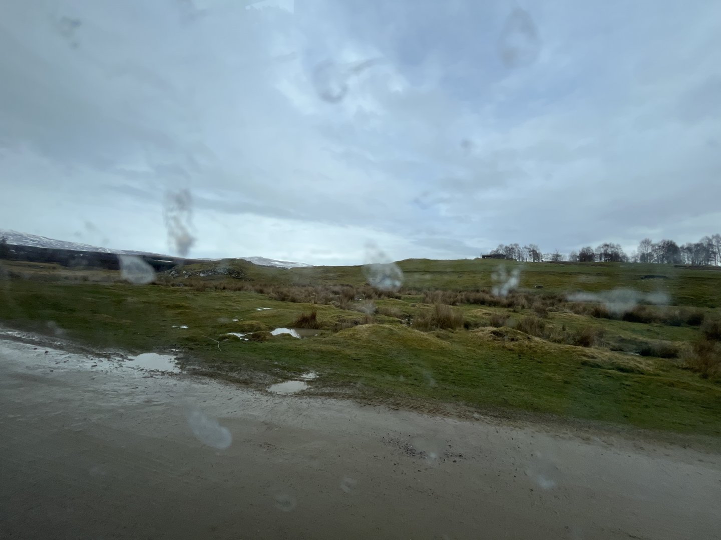 Red deer, European bison and Przewalski’s horse drive-through reserve 5.4.24