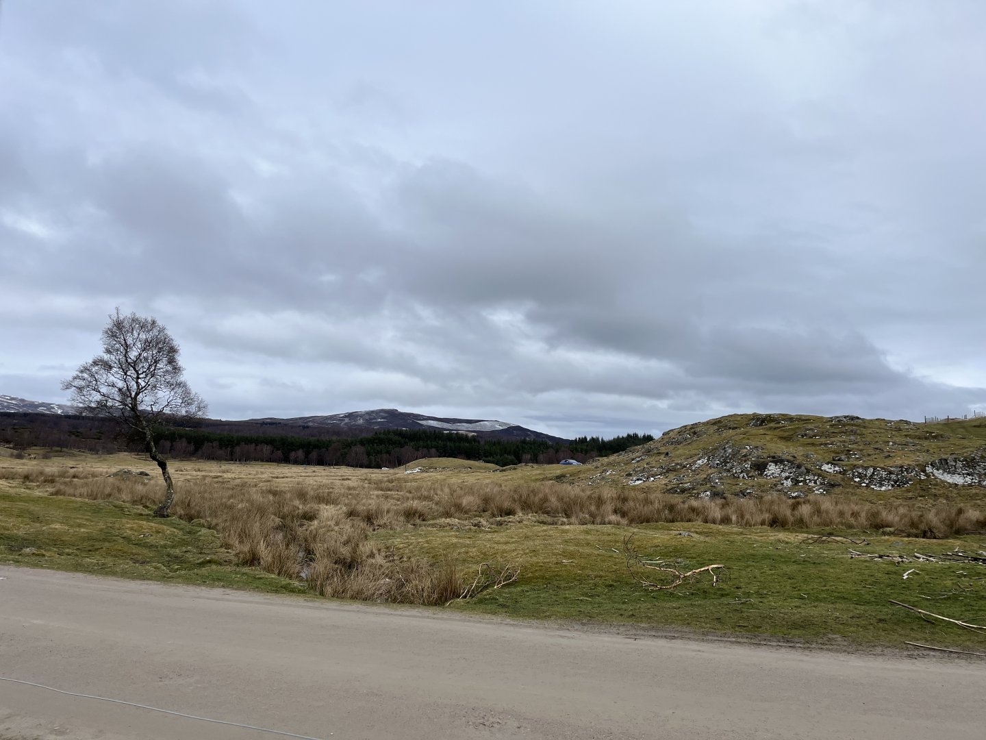 Red deer, European bison and Przewalski’s horse reserve 5.4.24