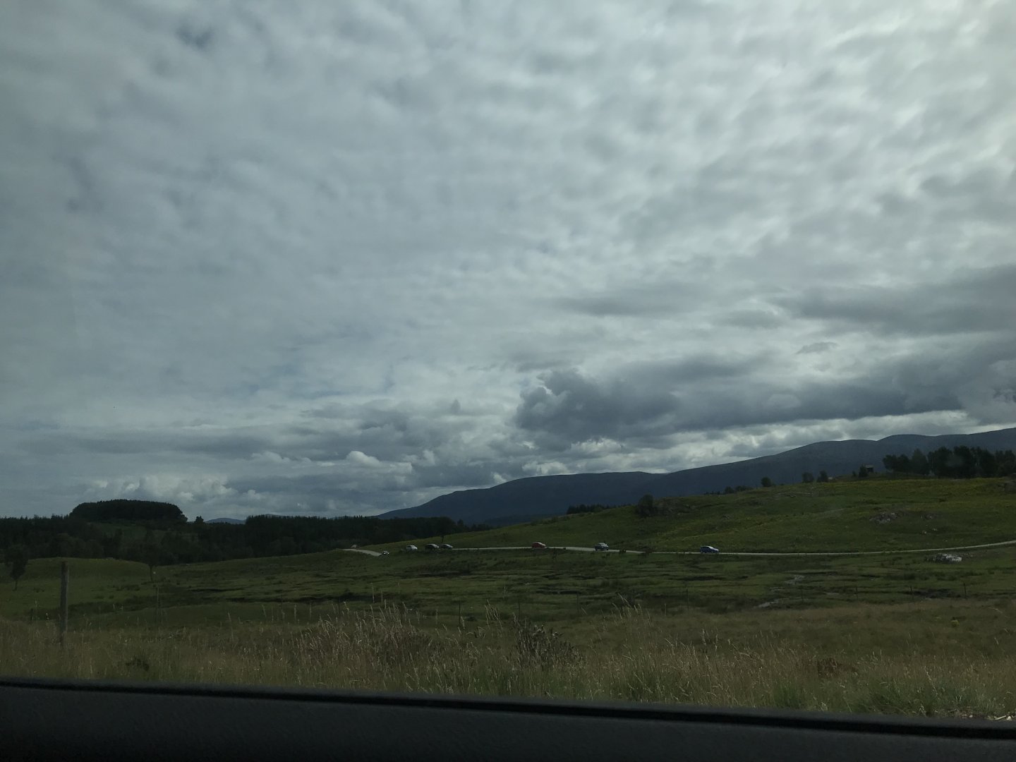 Red deer, european bison and Przwalskis horse enclosure